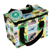Load image into Gallery viewer, Rectangular lunch bag is covered with yellow, blue, green and pink rectangles. Within each rectangle is 1 of several dinosaurs. Listed in the top left of each rectangle is the dinosaur name. The bag is zipped closed and has two black handles. A paper swing tag attached with plastic reads &quot;i am a recycled product. be kind to the planet&quot;
