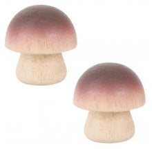 Load image into Gallery viewer, Two brown mushrooms. 
