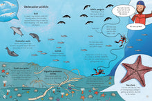 Load image into Gallery viewer, Inside spread pages 14-15 show illustrations of wildlife under the sea. 
