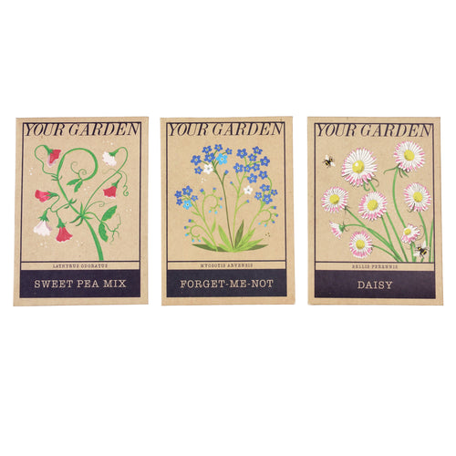 Three brown packets with illustrations of flowers. Each packet has a different illustration and label. The packets read 'your garden' followed by the scientific & traditional name for each flower. 