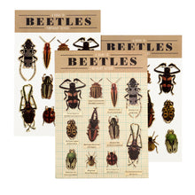Load image into Gallery viewer, Two sheets of tattoos sit behind the beetles tattoo card packaging. 
