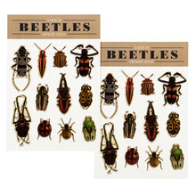 Load image into Gallery viewer, Two identical sheets of 11 beetle tattoos side-by-side. The tattoos do not include the latin names.
