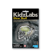 Load image into Gallery viewer, Packaging is black card sleeve with a plastic window attaching the skull. Packaging reads &#39;KidzLabs Glow Skull. Try your hand at physiology! Learn the structure of your skull with a cool and luminous human skull keyring. Have fun touching and examining the squishy brain!&#39;. 
