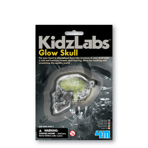 Packaging is black card sleeve with a plastic window attaching the skull. Packaging reads 'KidzLabs Glow Skull. Try your hand at physiology! Learn the structure of your skull with a cool and luminous human skull keyring. Have fun touching and examining the squishy brain!'. 
