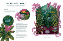 Load image into Gallery viewer, Pages 8 and 9 titled &#39;a place to call home&#39; with an illustration of a river ecosystem with labelled creatures. 
