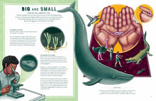 Load image into Gallery viewer, Pages 12 and 13 titled &#39;big and small&#39; with scale illustrations of humans and other creatures. 
