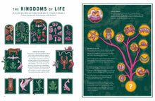 Load image into Gallery viewer, Pages 14 and 15 titled &#39;the kingdoms of life&#39; with illustrations of kingdoms and the &#39;roots of all life&#39;. 
