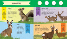 Load image into Gallery viewer, Nature Spotter: Wildlife
