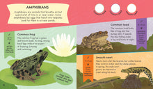Load image into Gallery viewer, Nature Spotter: Wildlife
