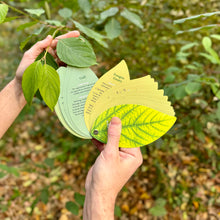 Load image into Gallery viewer, White hands hold the plant book open comparing the words on the page to a leaf outside. 
