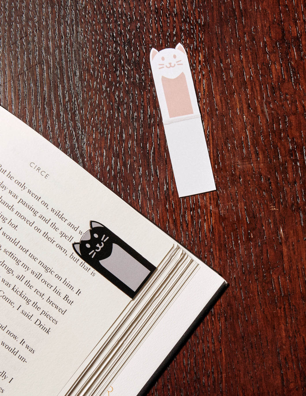 Cat bookmark marking the page of a book. 