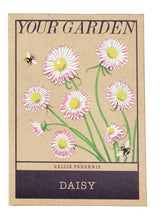 Load image into Gallery viewer, Brown packet of seeds shows illustration of daisy flowers with bees. Packaging reads &#39;your garden, bellis perennis, daisy&#39;. 
