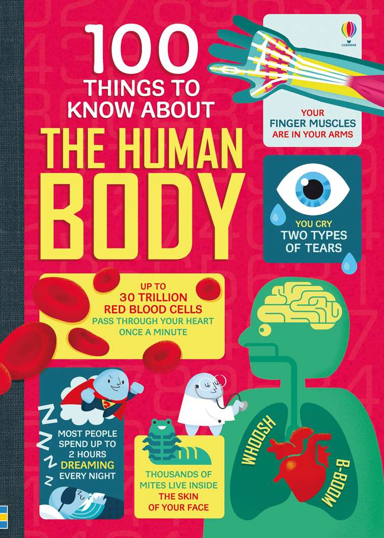 Book cover is red with example infographics and colourful pictures. Blue bald characters appear on different sections.