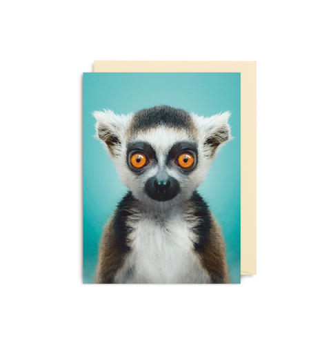 Card with a blue background has a white envelope tucked inside. On the card is a photograph of a lemur (torso up) looking into the camera. It has orange eyes and white and brown fur. 