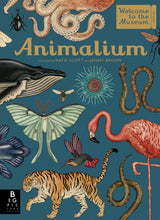 Load image into Gallery viewer, Blue book cover with title and authors names in yellow/gold writing. Detailed, colour illustrations of animals cover the page, including flamingo, tiger, hummingbird, snake, moth, octopus, whale and beetle. Top right has a gold ticket shape with &#39;welcome to the museum, admit all&#39;. Bottom right has the Big Picture Press logo in black and white. 
