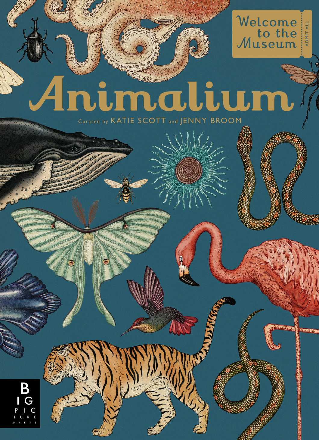 Blue book cover with title and authors names in yellow/gold writing. Detailed, colour illustrations of animals cover the page, including flamingo, tiger, hummingbird, snake, moth, octopus, whale and beetle. Top right has a gold ticket shape with 'welcome to the museum, admit all'. Bottom right has the Big Picture Press logo in black and white. 