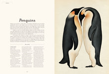 Load image into Gallery viewer, page 70 shows text about key about Penguins under a section header for birds. Right-hand page shows two emperor penguins facing each other, one with its head tucked in towards it&#39;s chest.
