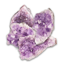 Load image into Gallery viewer, 4 Amethyst cluster are purple, sharp stones. 
