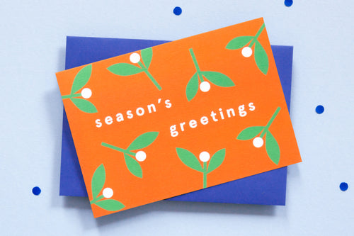 Orange landscape card with words 'season's greetings' in lower case letters. Simple plants (green stalk, two leaves and white circle flowers) scattered across the background. Envelope is blue. 