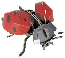 Load image into Gallery viewer, Photo of the cardboard ladybird fully assembled. Wings are open and red with black spots. 
