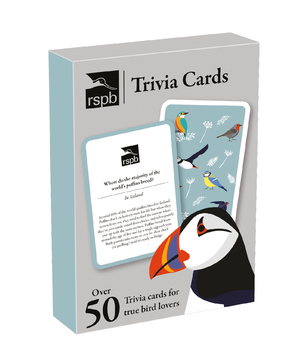 Grey card pack with illustration of puffin. Top has RSPB logo, followed by 