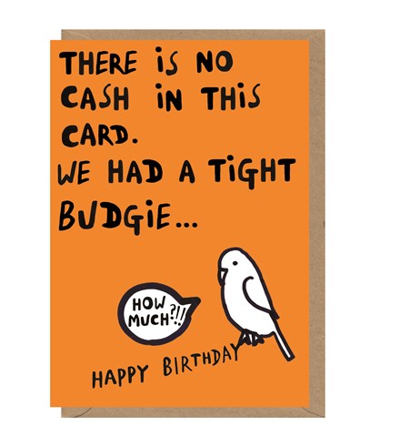 Orange card with a brown kraft envelope tucked inside. The card reads 'there is no cash in this card. we had a tight budgie...happy birthday' in black capital letters. There's an illustration of a white bird with a chat bubble reading 'how much?!!'