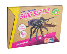 Load image into Gallery viewer, Packaging for Mini-builds stag beetle is brown cardboard with image of stag beetle. Arrows show that pincers move side to side. Packaging reads &#39;mini-builds stag beetle slot-together cardboard kit, snapping pincer action, 31 cm long&#39;. 
