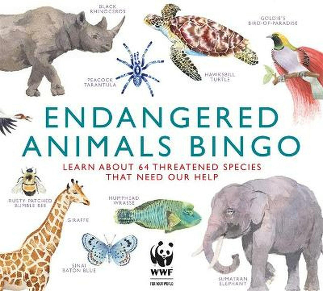 Bingo box shows illustrations of elephants, fish, giraffe, insects, turtles, rhinoceros, birds and a tarantula. The tagline reads 