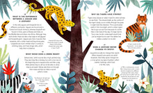 Load image into Gallery viewer, Inside spread shows big cats and a zebra. 4 questions span across 2 pages: What is the difference between a jaguar and a leopard? What noise does a zebra make? Why do tigers have stripes? Does a leopard never change it&#39;s spots?
