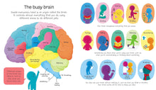Load image into Gallery viewer, Inside spread is on &quot;the busy brain&quot; and has an illustration of the brain and what the different parts do. The other side features different things that your brain helps you do. 
