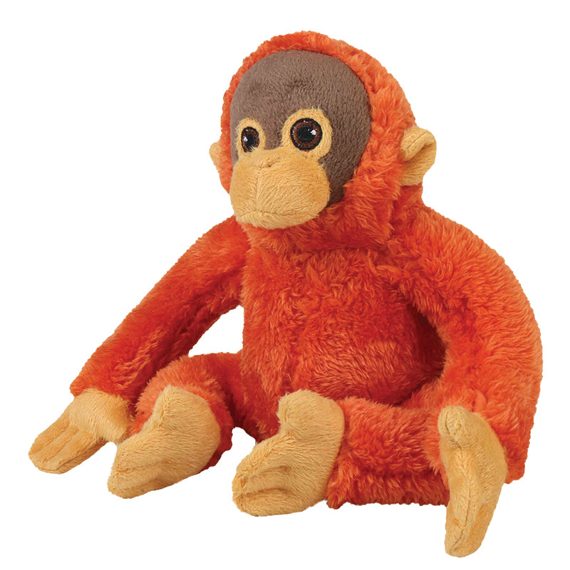 Orange orangutan sitting with legs extended in front, arms to side. Face is grey and beige.