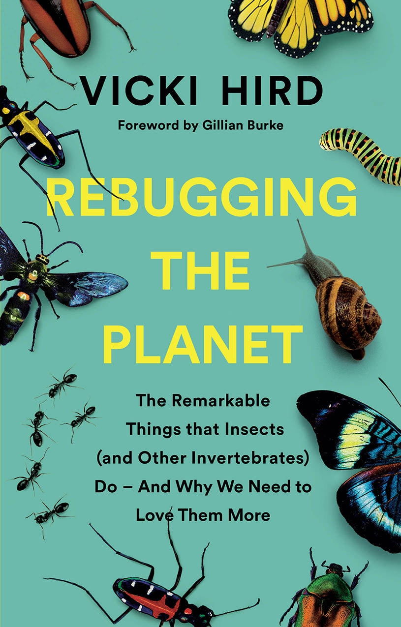 Book cover is teal and has photos of beetles, butterflies, ants, a caterpillar and a snail. The tagline reads 