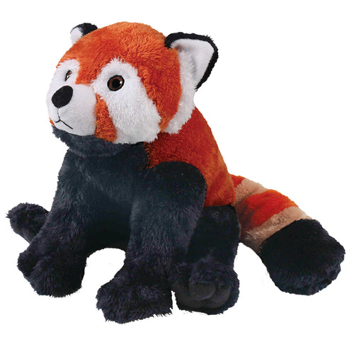 Red panda sat on it's haunches with legs extended in front and tail coming around from behind. Panda has red back and face (white white around eyes, nose and ears), black stomach, legs & framed ears. Flat tail is striped orange, beige and black. Eyes are brown.