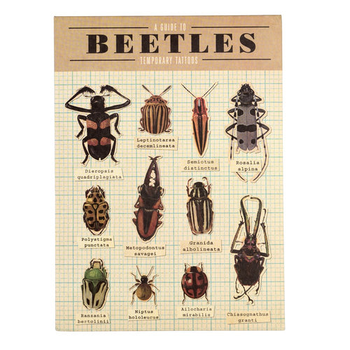 Packaging has 11 beetles with their latin names below. Title of packaging reads 'a guide to beetles temporary tattoos'. 