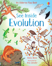 Load image into Gallery viewer, See Inside Evolution book cover shows a blue sky with illustrations of various creatures (moths, birds, dinosaurs, birds, ape)
