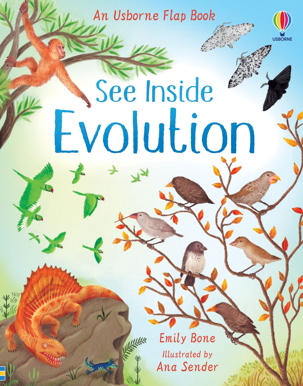 See Inside Evolution book cover shows a blue sky with illustrations of various creatures (moths, birds, dinosaurs, birds, ape)