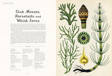 Load image into Gallery viewer, Inside spread shows heading of &quot;club mosses, horsetails and whisk ferns&quot; with two paragraphs below. Below this is a key to the opposite page, which show botanical illustrations. 
